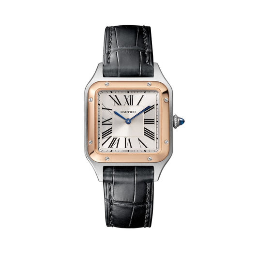 Cartier Santos-Dumont W2SA0038 - Small model Steel case, Satin-brushed silver sunray Dial, Black alligator strap