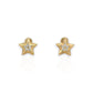 Tiny Star CZ Stud Earrings - 10K Yellow Gold