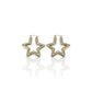 Hoop Star Earrings - 10K Yellow Gold