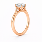 14K Round Solitaire — Cathedral