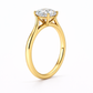 14K Round Solitaire — Cathedral