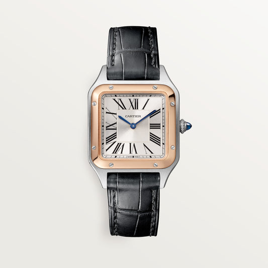 Cartier Santos-Dumont W2SA0038 - Small model Steel case, Satin-brushed silver sunray Dial, Black alligator strap