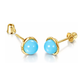 14K Yellow and White Gold Round Turquoise Stud Earrings with Screw Back