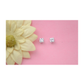 14K White Gold Square Princess Cut CZ Stud Earrings with Screw Back - 3mm to 7mm