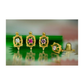 14K Yellow Gold Turtle CZ Stud Earrings with Screw Back