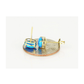 14K Yellow and White Gold Oval Opal Stud Earrings with Screw Back