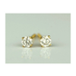 14K Yellow Gold Round Diamond Stud Earrings with Screw Back - 0.22 CT TW