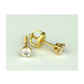 14K Yellow Gold Round Diamond Stud Earrings with Screw Back - 0.25 CT TW