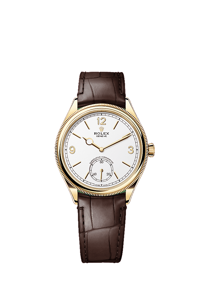 Intense White dial, Alligator Leather - Brown bracelet