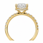 14K Oval Solitaire — Hidden Halo Pave