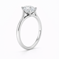 14K Marquise Solitaire — Cathedral