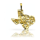 Texas State Pendant with Nugget Texture - 10K Yellow Gold