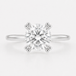 14K Round Solitaire — Tulip (New Design)